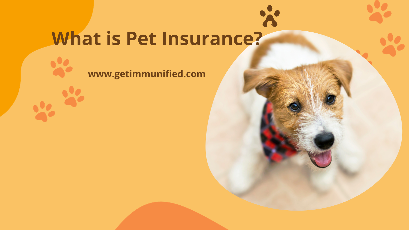 Free Pet Insurance for Low-Income families