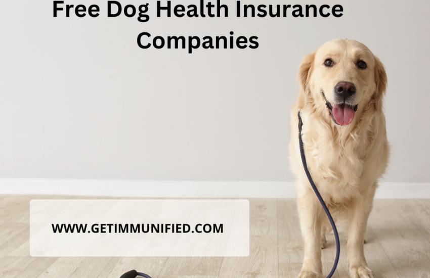 Free Dog Health Insurance Companies