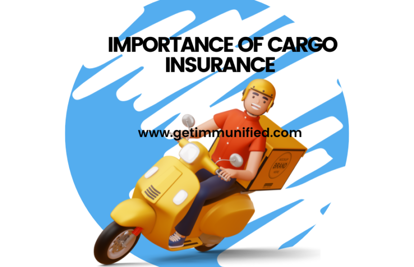 Importance of Cargo Insurance